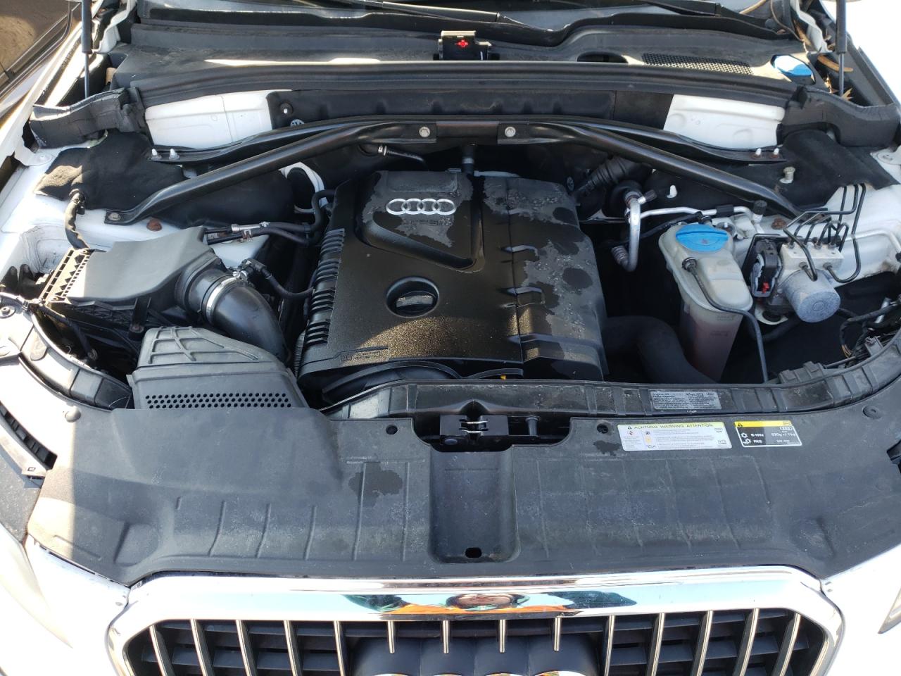 2013 Audi Q5 Premium Plus VIN: WA1LFAFP5DA005467 Lot: 46786735