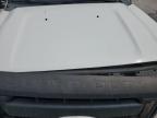 2011 Ford F250 Super Duty продається в New Orleans, LA - Rear End