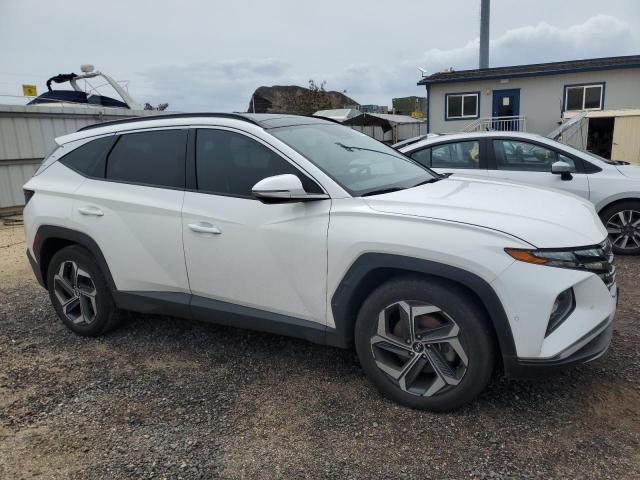  HYUNDAI TUCSON 2023 Белы