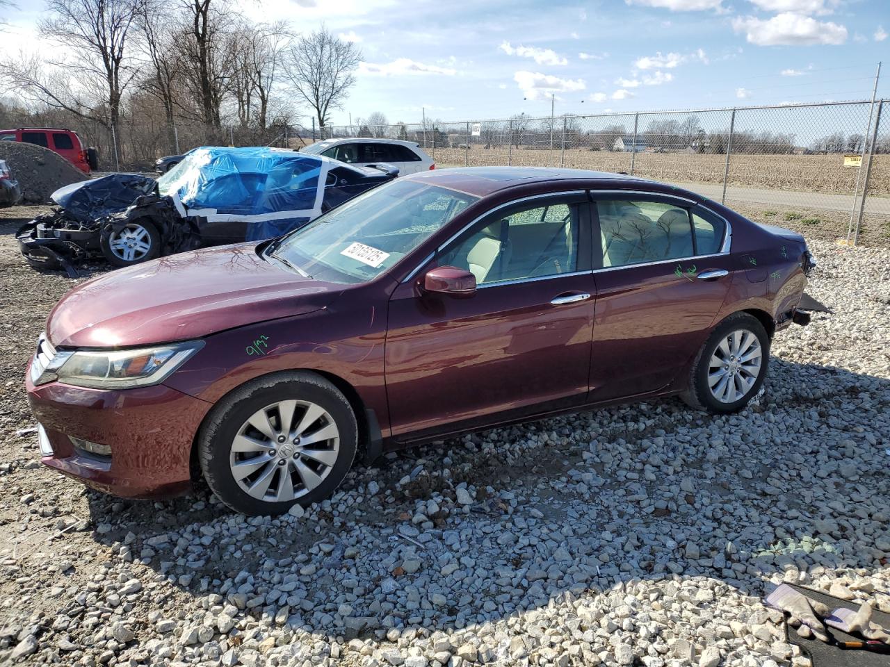 2014 Honda Accord Exl na sprzedaż w Cicero, IN - Rear End