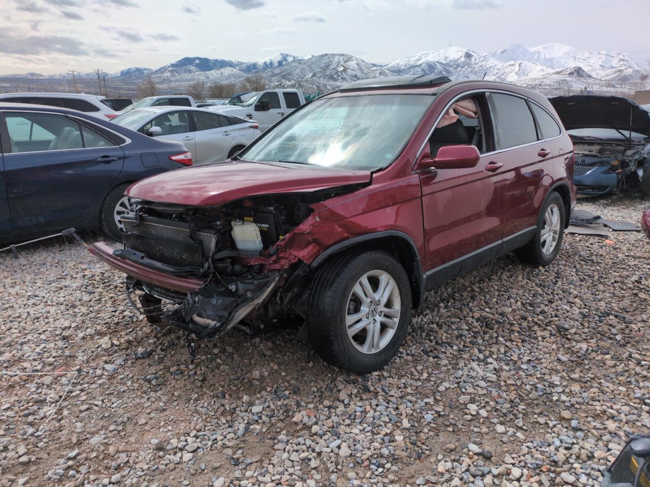 2011 Honda Cr-V Exl for Sale in Magna, UT - Front End