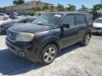 2015 Honda Pilot Exl продається в Opa Locka, FL - Minor Dent/Scratches