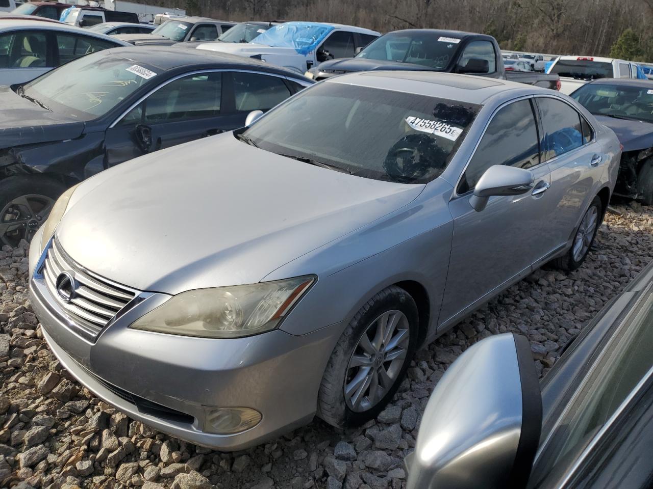 2010 Lexus ES - Image 1