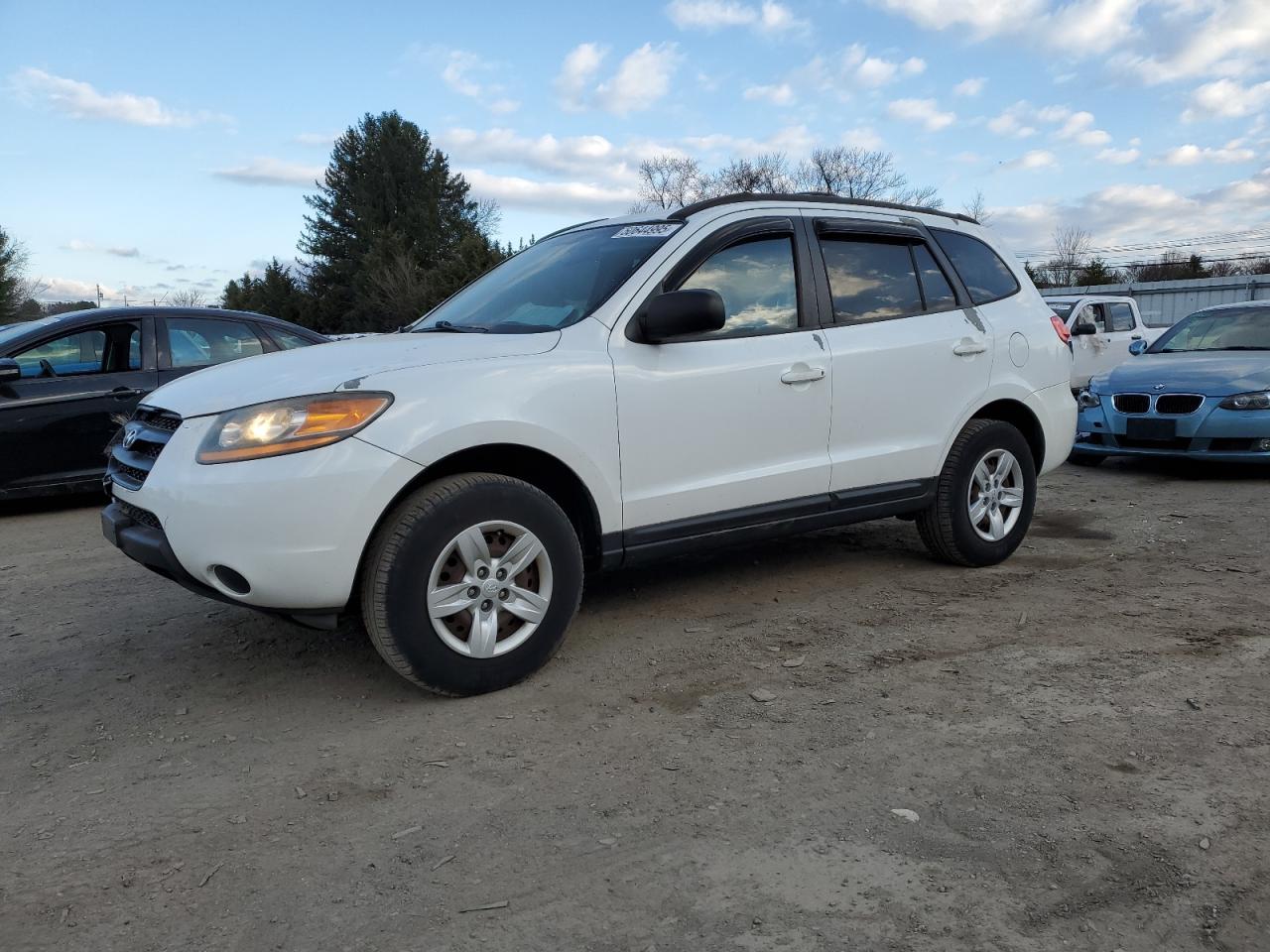 2009 Hyundai Santa Fe Gls