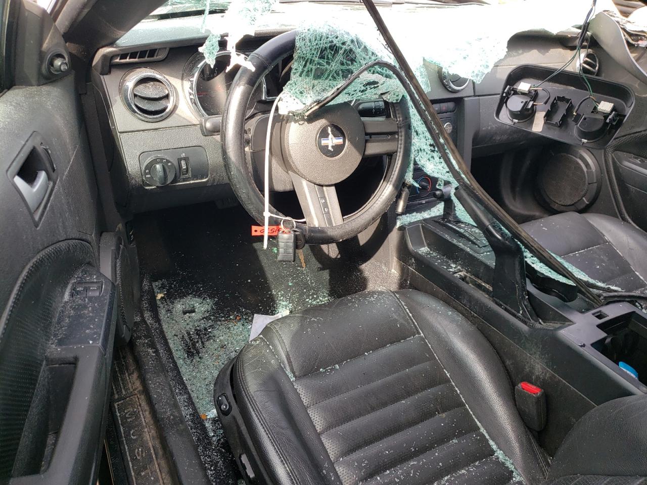 2008 Ford Mustang Gt VIN: 1ZVHT82H085100848 Lot: 50249665