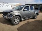 Brighton, CO에서 판매 중인 2006 Nissan Frontier Crew Cab Le - Front End
