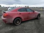 2006 Lexus Is 250 للبيع في Airway Heights، WA - Front End