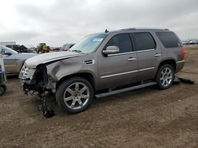 2011 Cadillac Escalade Premium