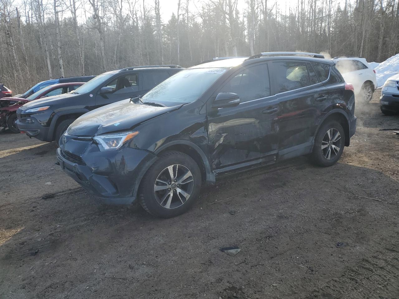2018 Toyota Rav4 Le للبيع في Cookstown، ON - Front End