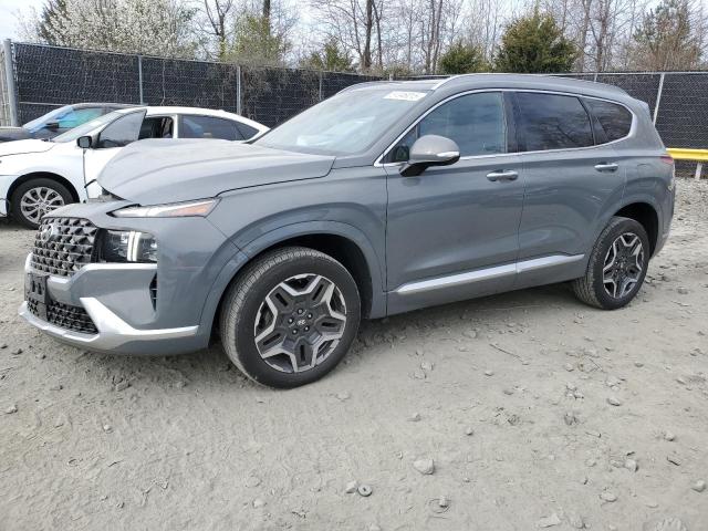 2021 Hyundai Santa Fe Calligraphy
