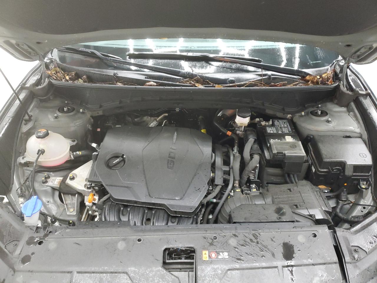 2024 Hyundai Tucson - Image 12