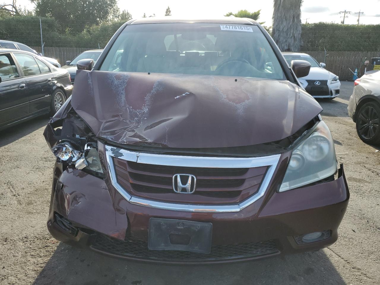 2010 Honda Odyssey - Image 5