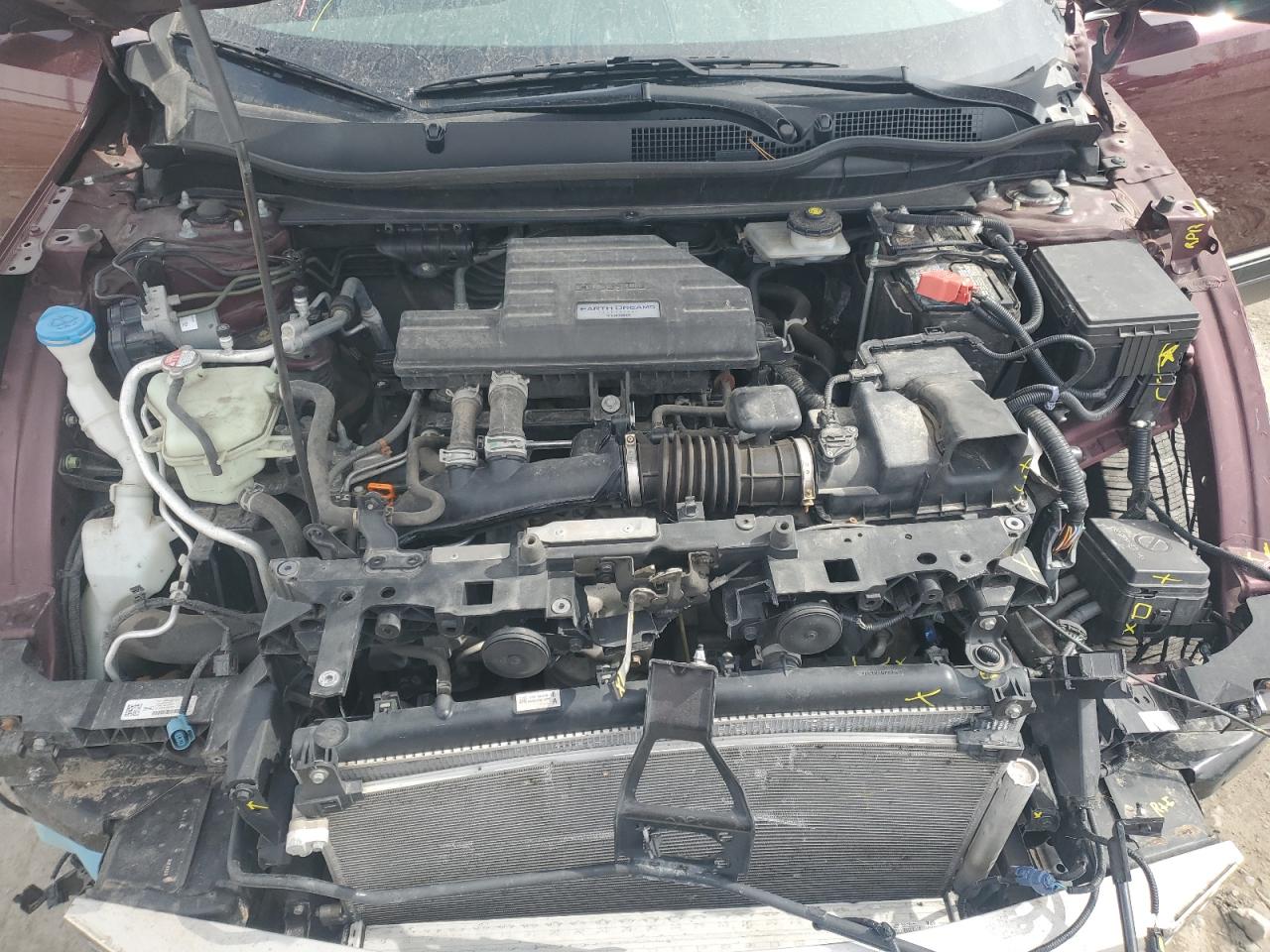 2019 Honda Cr-V Ex VIN: 5J6RW2H57KL029007 Lot: 49481875