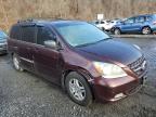 2007 Honda Odyssey Exl за продажба в Marlboro, NY - Side
