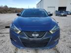2017 Nissan Maxima 3.5S for Sale in Reno, NV - Rear End