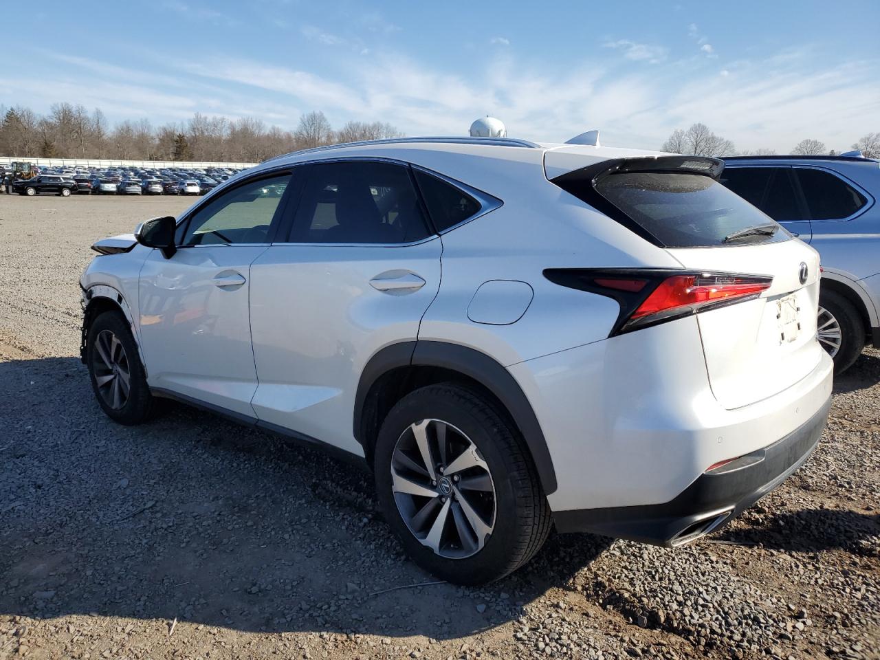 2019 Lexus NX - Image 2