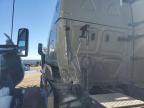Amarillo, TX에서 판매 중인 2022 Freightliner Cascadia 126 Semi Truck - All Over
