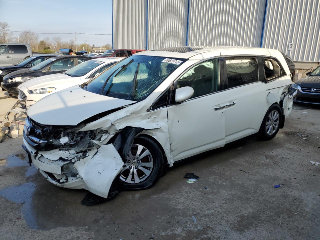 2016 Honda Odyssey Exl იყიდება Lawrenceburg-ში, KY - All Over