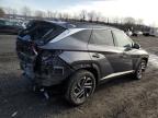 2025 Hyundai Tucson Limited for Sale in Marlboro, NY - Rear End