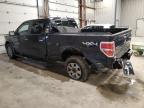 2010 Ford F150 Supercrew de vânzare în Mcfarland, WI - Rear End