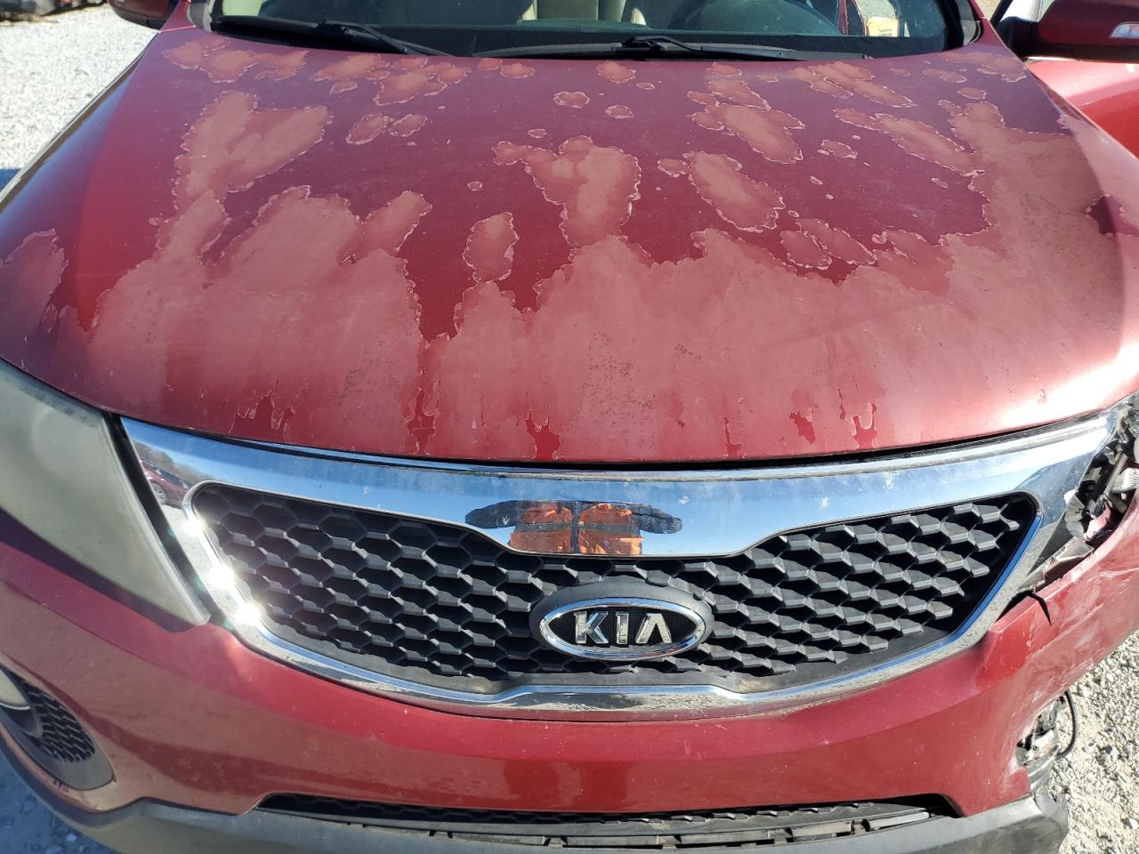2011 Kia Sorento Ex VIN: 5XYKU4A29BG029482 Lot: 49680355