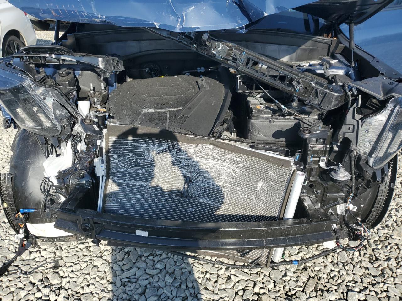2024 Kia Telluride Sx VIN: 5XYP5DGC2RG563677 Lot: 48695545