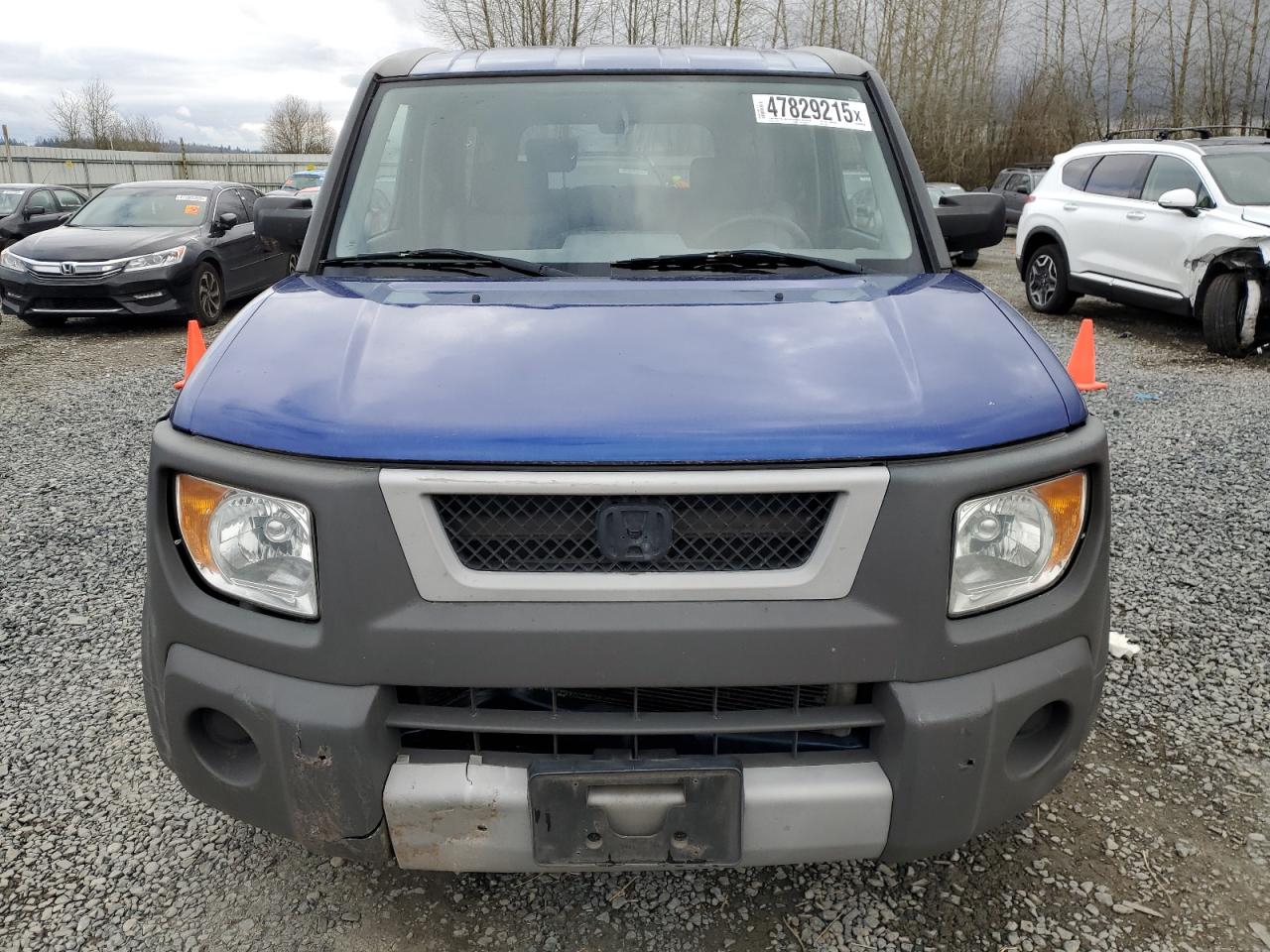 2004 Honda Element - Image 5