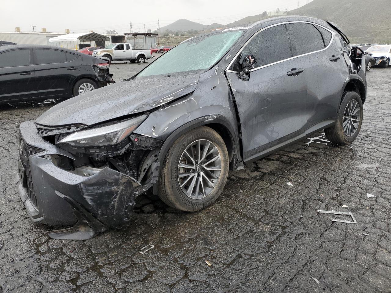 2024 Lexus NX - Image 1