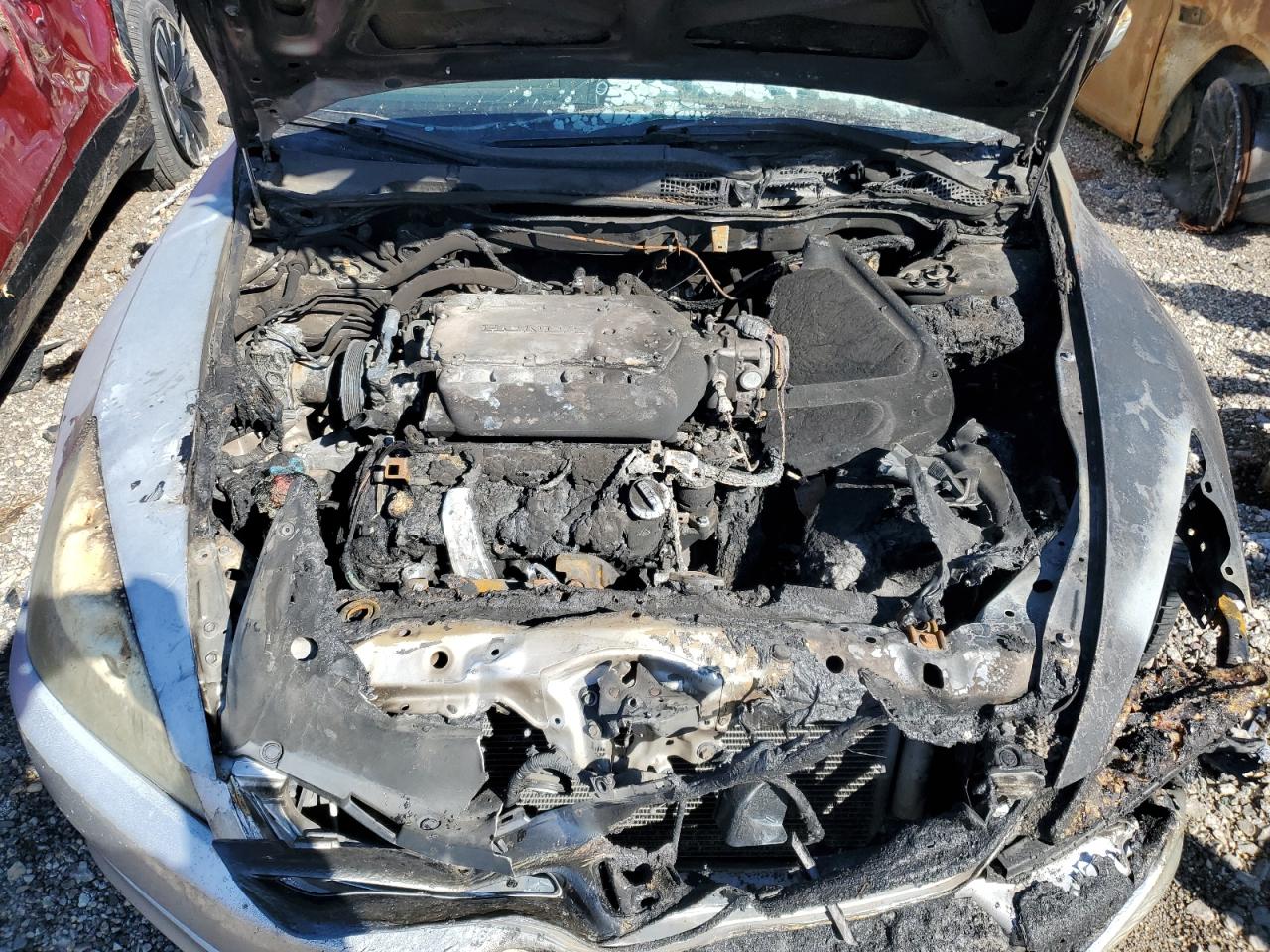 2006 Honda Accord Ex VIN: 1HGCM826X6A008550 Lot: 49281125