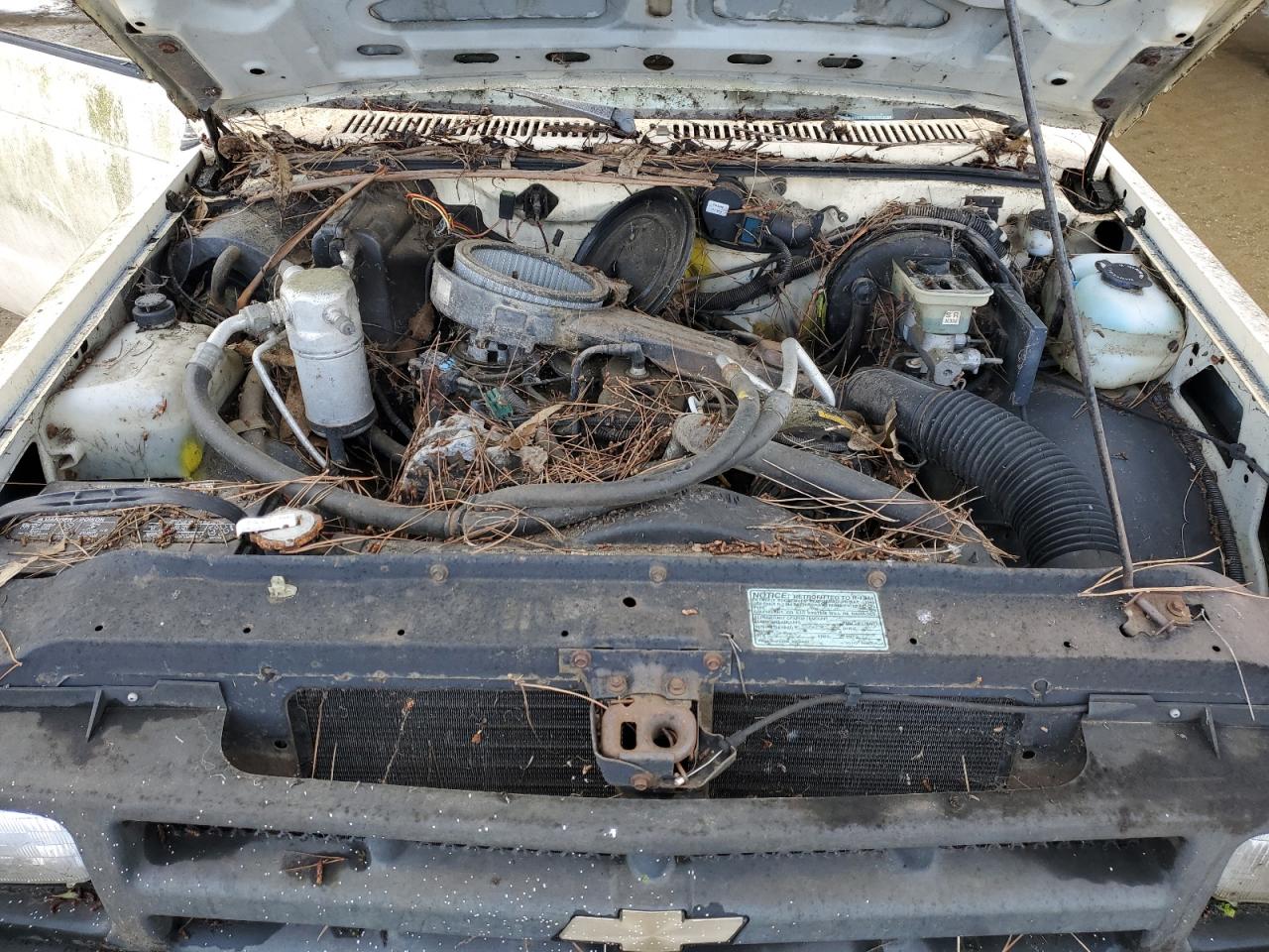 1992 Chevrolet S Truck S10 VIN: 1GCCS14E7M8128102 Lot: 48742935