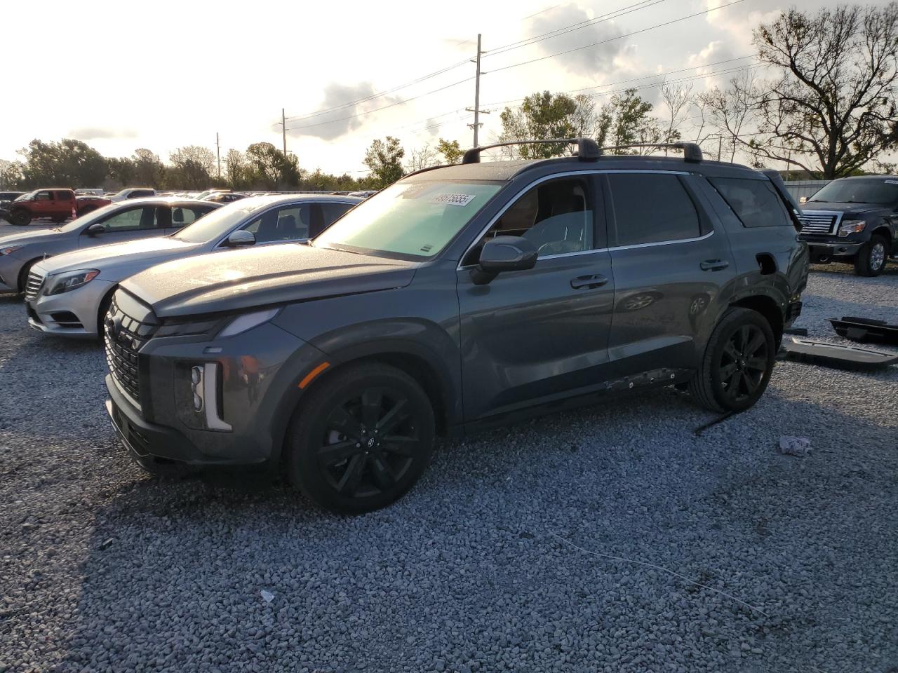 2024 Hyundai Palisade Xrt იყიდება Riverview-ში, FL - Rear End