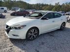 2017 Nissan Maxima 3.5S للبيع في Houston، TX - Top/Roof