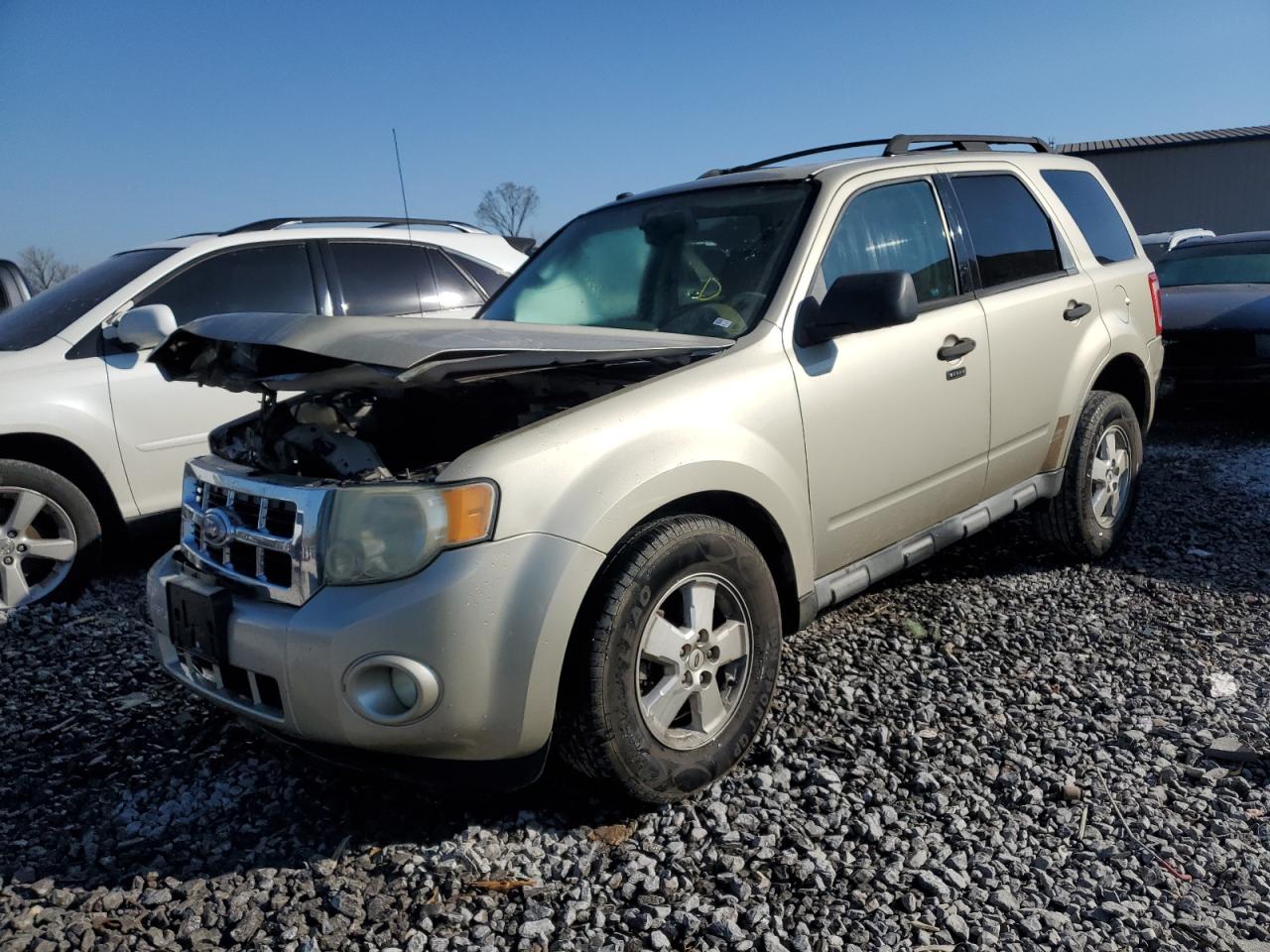 2010 Ford Escape Xlt for Sale in Hueytown, AL - Front End