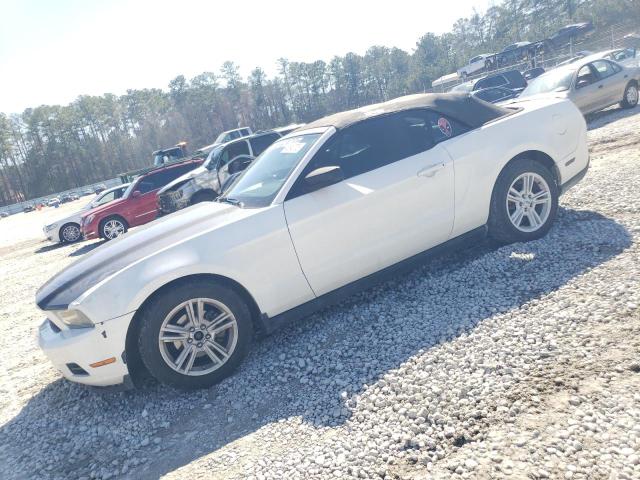 2010 Ford Mustang 