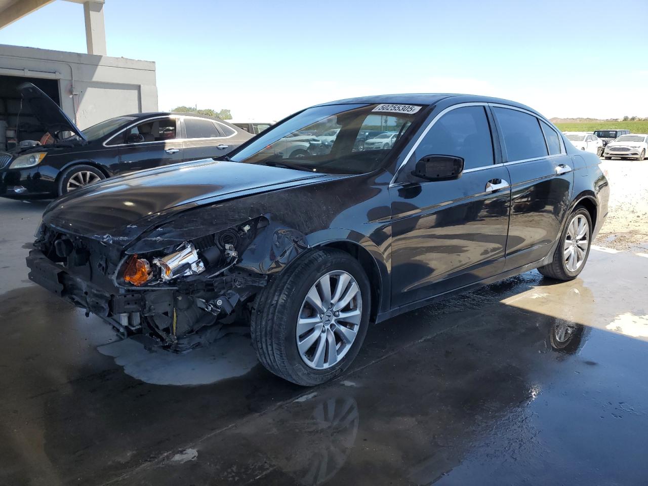 2011 Honda Accord Exl for Sale in West Palm Beach, FL - Front End