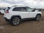 2019 Jeep Cherokee Trailhawk for Sale in Elgin, IL - Front End