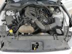 2015 Ford Mustang  for Sale in Hampton, VA - Front End