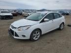 2014 Ford Focus Se for Sale in Helena, MT - Front End
