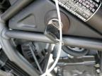 2024 Honda Cmx300 A for Sale in San Martin, CA - All Over