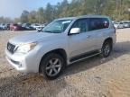 2012 Lexus Gx 460 продається в Eight Mile, AL - Vandalism