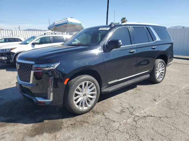  CADILLAC ESCALADE 2023 Czarny