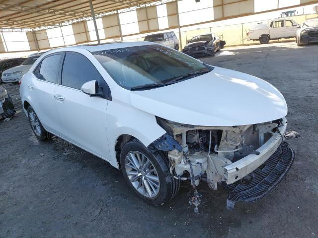 RKLBL9HE4E5212496 - 2024 Toyota Corolla - #undefined