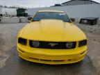 2005 Ford Mustang Gt   for Sale in Louisville, KY - Hail