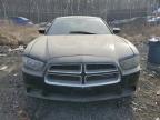 2013 Dodge Charger Se იყიდება Baltimore-ში, MD - Minor Dent/Scratches