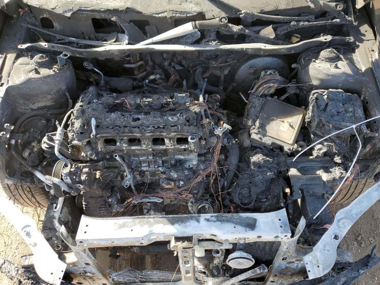 2012 Kia Forte Sx VIN: KNAFW4A35C5623353 Lot: 48526835