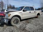 2010 Ford F150 Supercrew for Sale in Rocky View County, AB - Front End