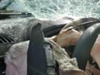 2024 Ford Edge Sel იყიდება Hurricane-ში, WV - All Over