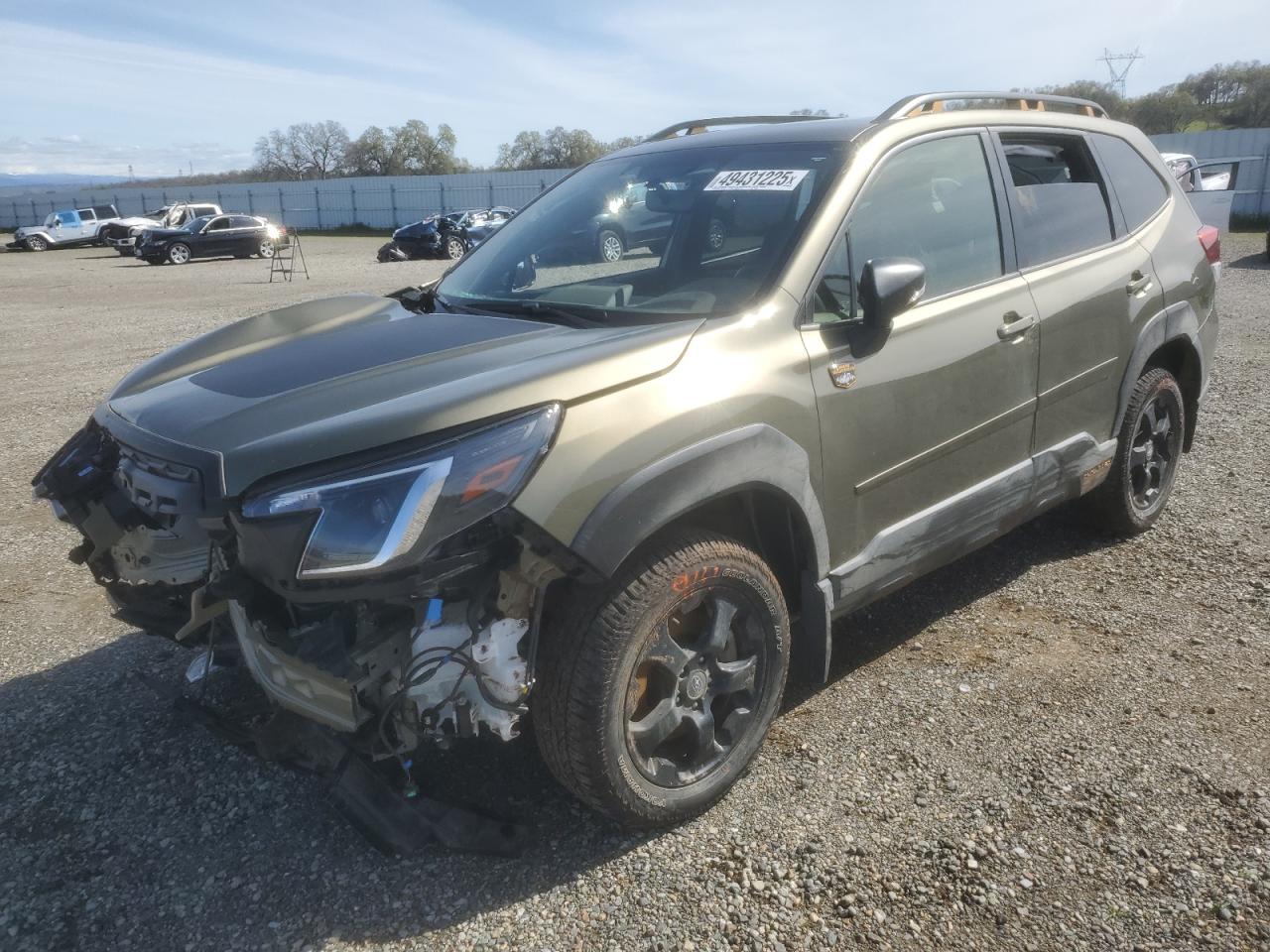 2024 Subaru Forester - Image 1