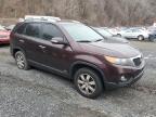 2011 Kia Sorento Base na sprzedaż w Marlboro, NY - Front End