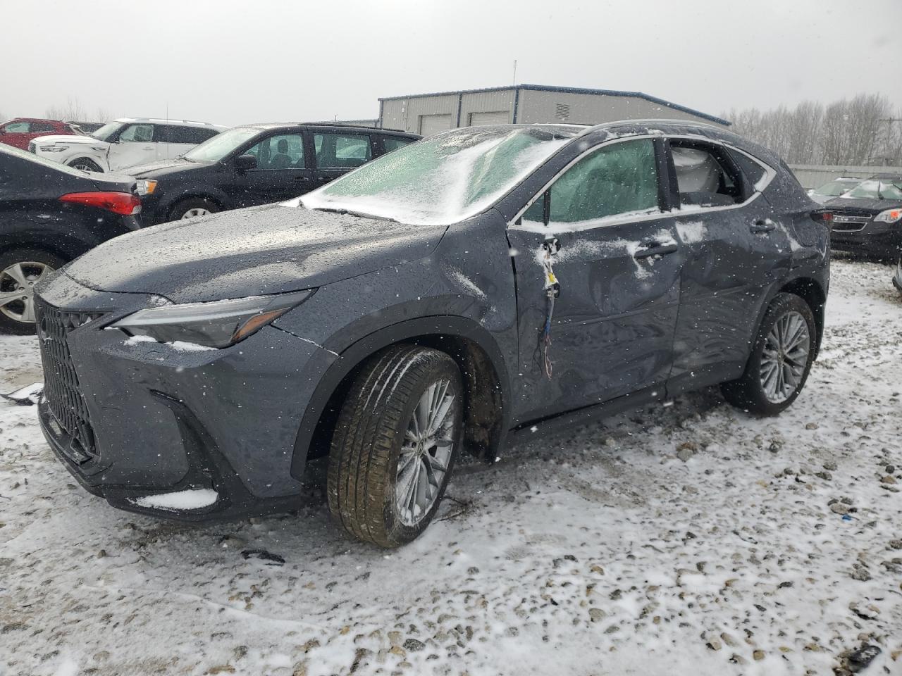 2024 Lexus Nx 350 Luxury de vânzare în Wayland, MI - All Over